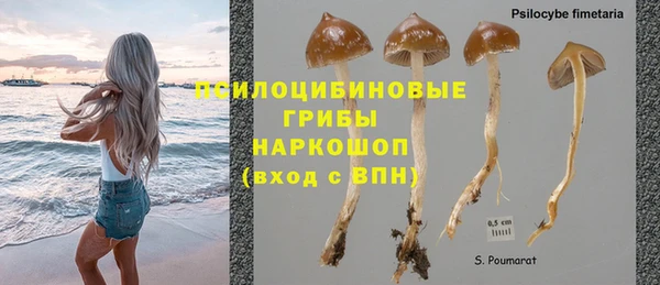 не бодяженный Ладушкин